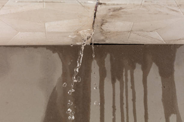 Professional Flood Damage Cleanup technician working in Bricelyn, MN